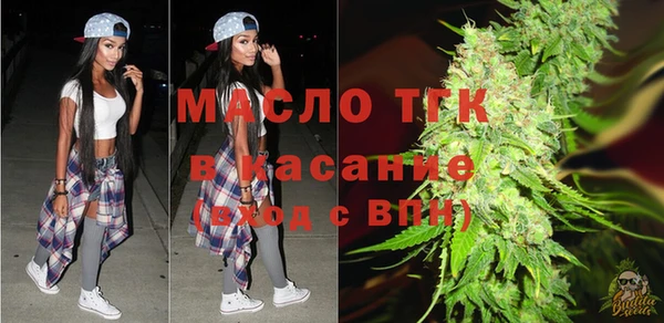 молекула духа Арсеньев