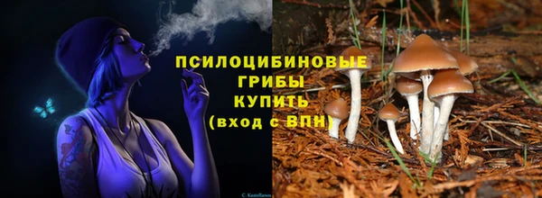 ГАЛЛЮЦИНОГЕННЫЕ ГРИБЫ Аркадак